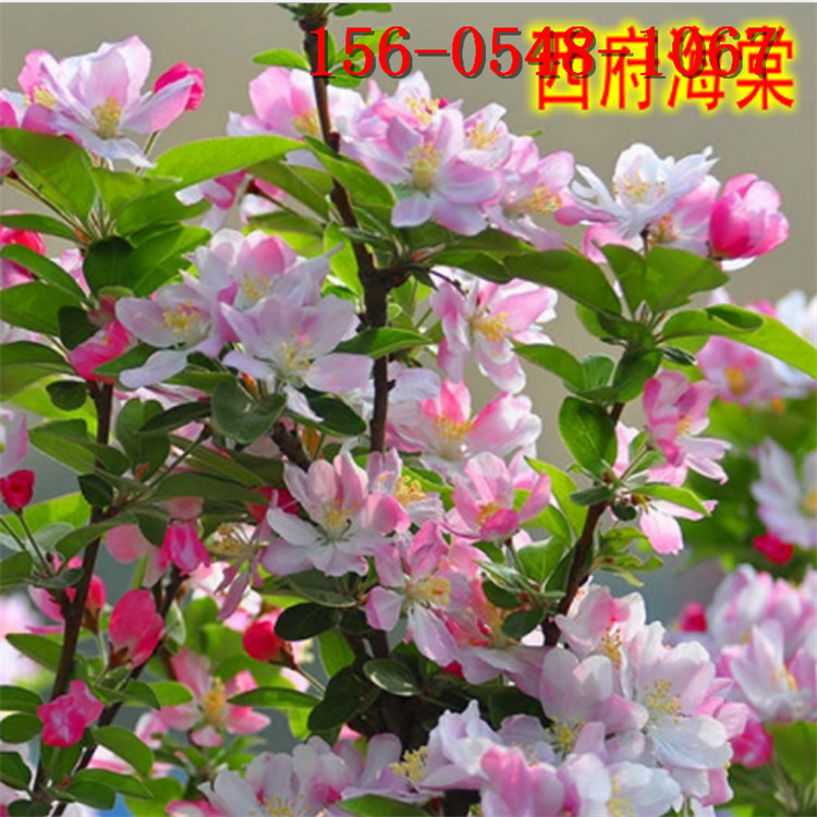 �������ļ۸�2����3���ֱ�������4����5����6����7������������