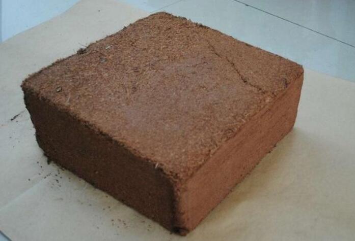 Ҭ��ש����Ҫ��ʲô�������������Щ����