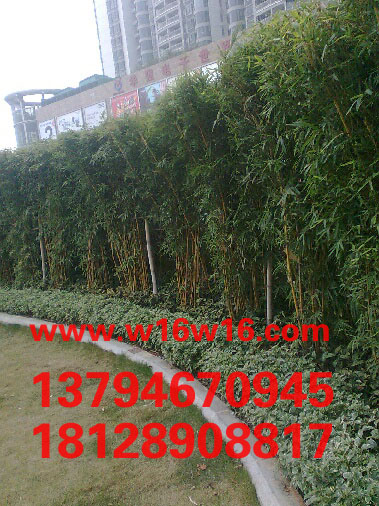 ��Ӧ����������