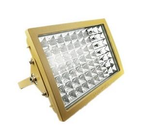 BAD25 ����led�� 30W/220V ������