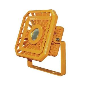 BLD30 ������LED����Ͷ��� 30W 