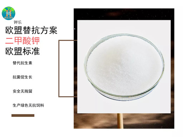 �����������������Ӷ�����ض��⼦������������Ӱ��