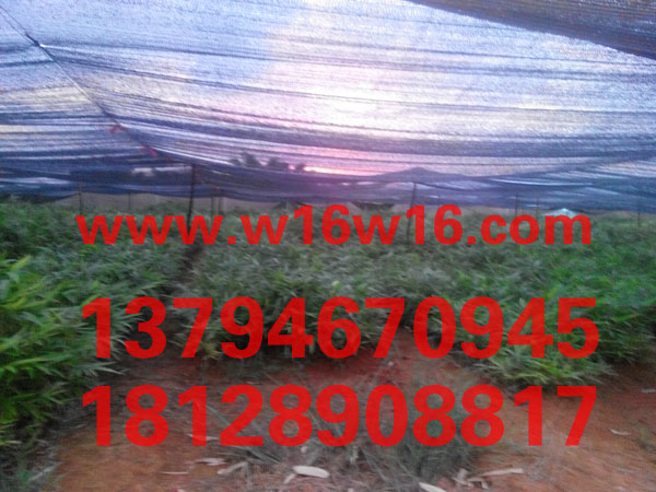 ë��������