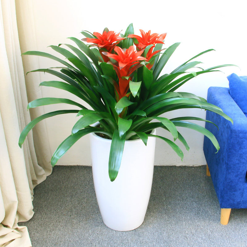 人̻԰ֹ˾ʩ人԰̻̹˾