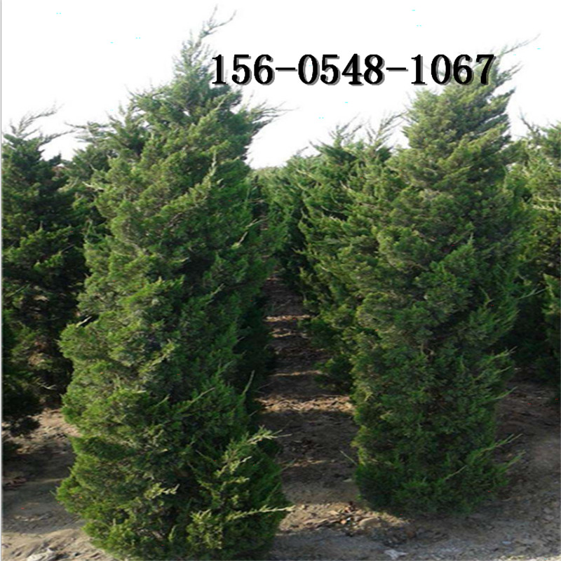 ��������1��2�����۸� 2.5�� 3����� 3.5��4����� 5��6�����