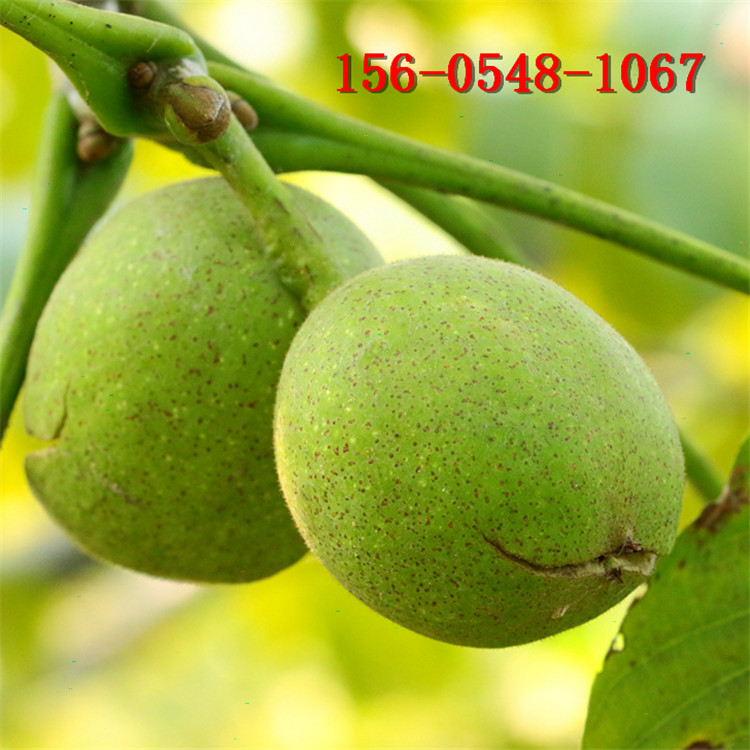 ������ ��������2����3������������� ��������� �ɺ�1�ź�����